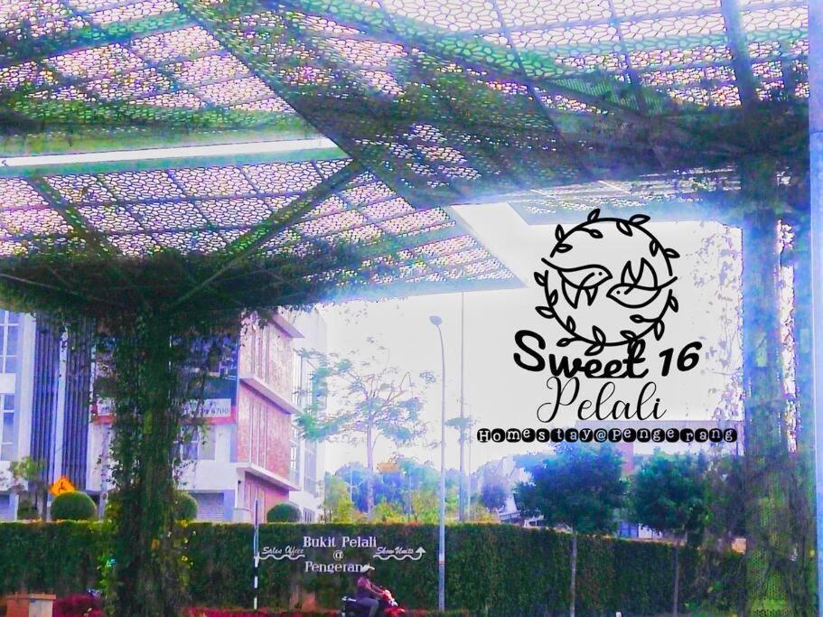 Sweet 16 Pelali Homestay Pengerang Extérieur photo