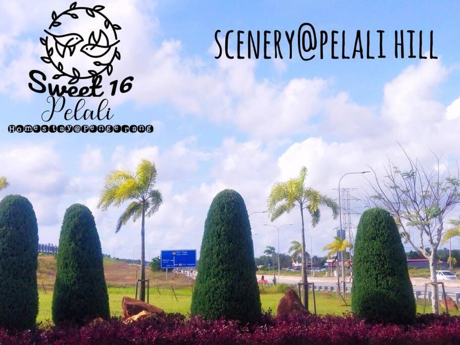 Sweet 16 Pelali Homestay Pengerang Extérieur photo